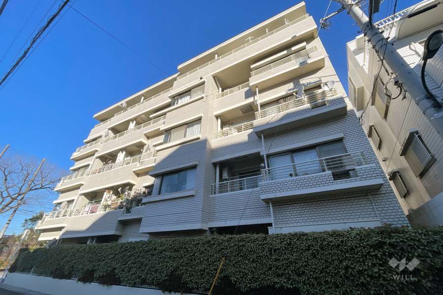 哲学堂リリエンハイムの外観（南東側から）