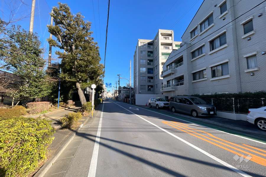 敷地西側の前面道路（南側から）