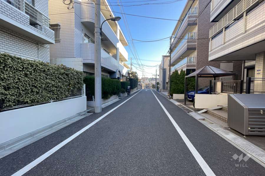 敷地南側の前面道路（西側から）