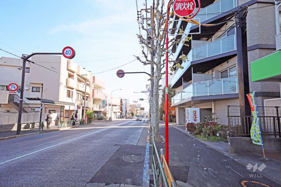 敷地北側の前面道路（西側から）