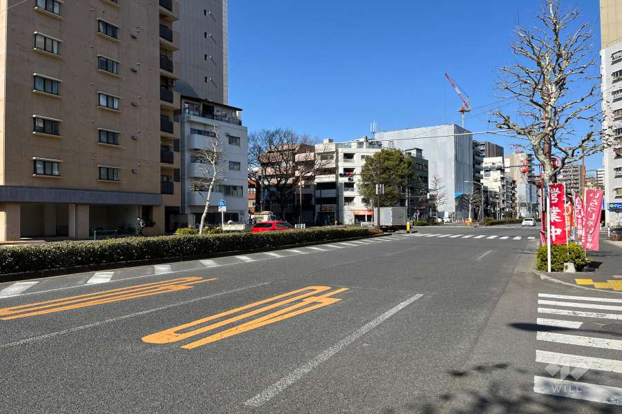 敷地東側の前面道路　