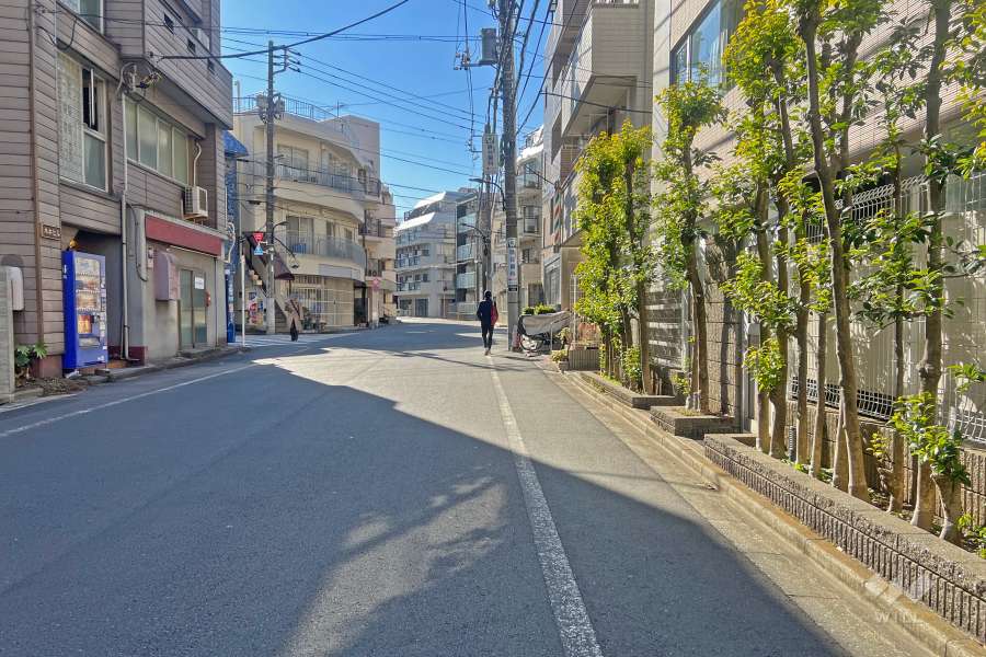 敷地の南東側前面道路（北東側から）