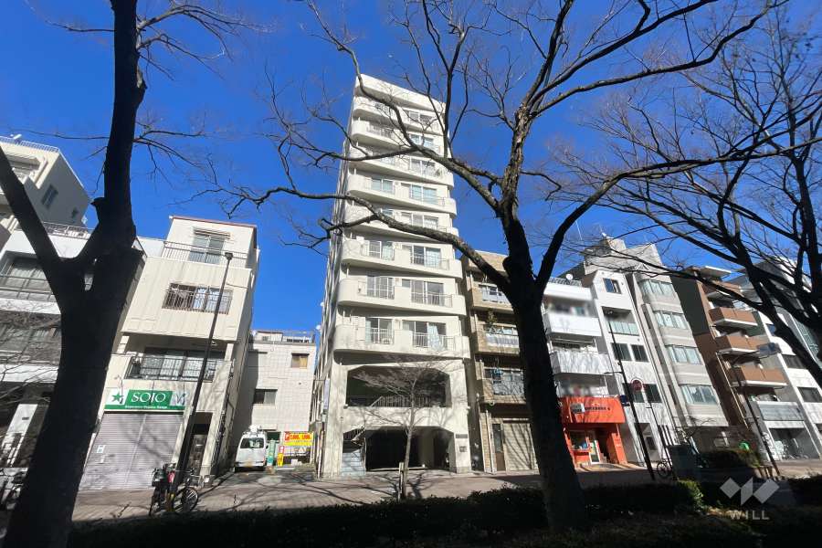 早稲田スカイマンションの外観（南西側から）