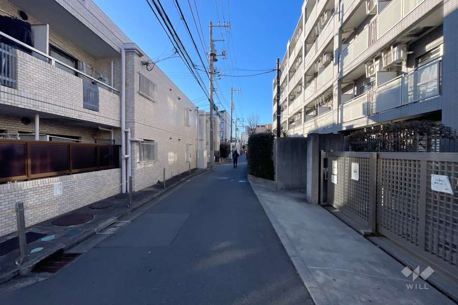 敷地西側の前面道路