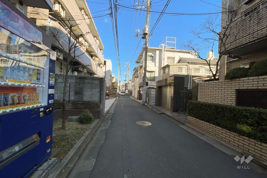 敷地東側の前面道路（南側から）