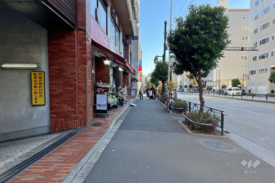 敷地の南側前面道路（西側から）