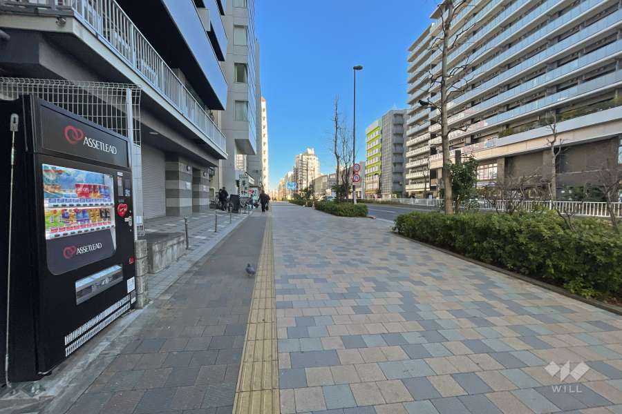 敷地東側の前面道路（南側から）