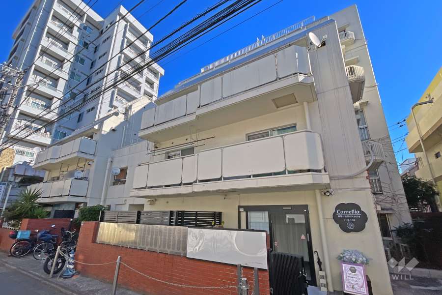 カーサビアンカ新宿の外観（南西側から）