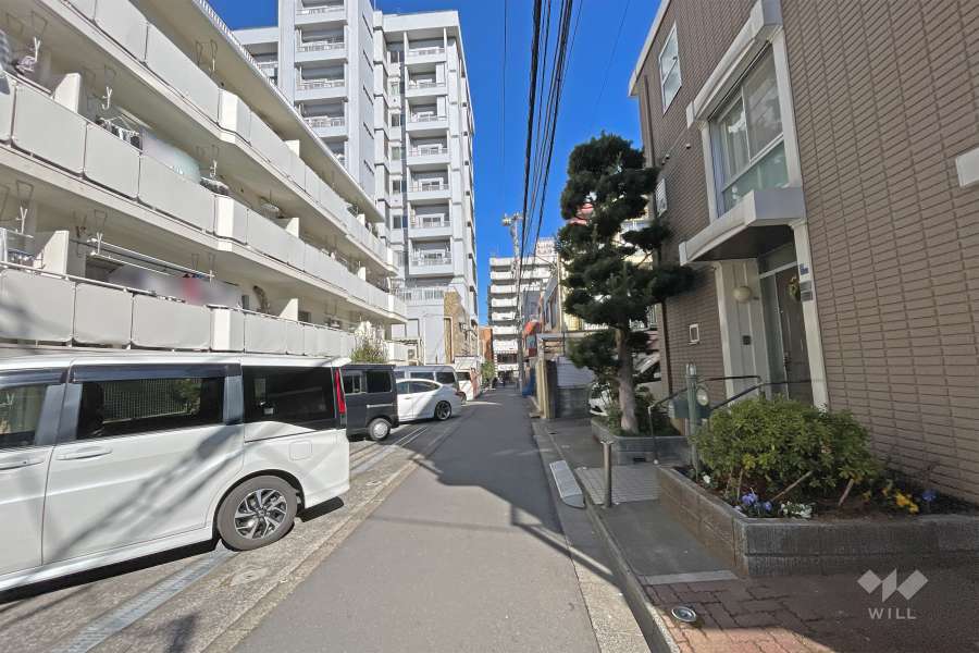 敷地の東側前面道路（南側から）