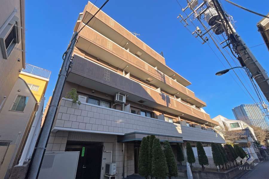 デュオスカーラ新大久保の外観（南東側から）