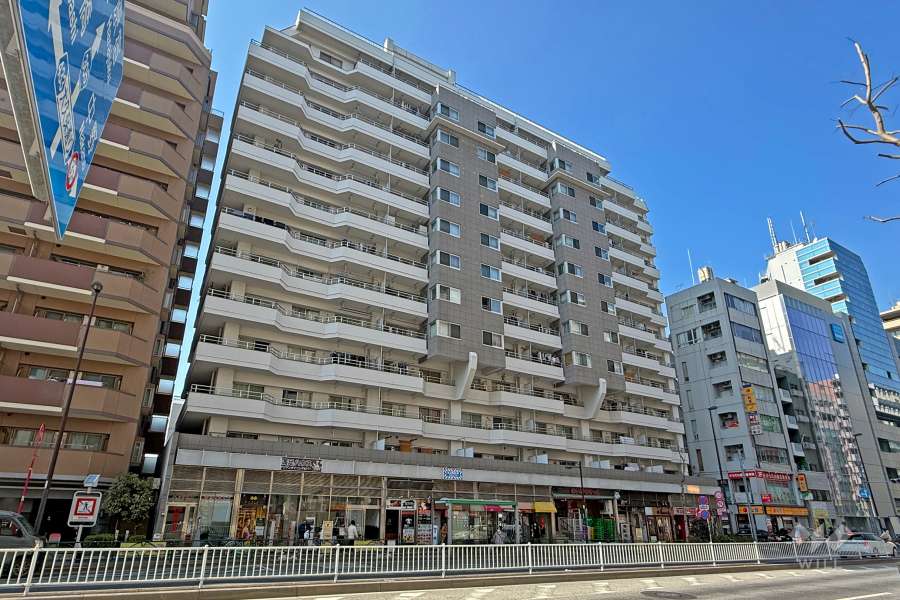 新宿第2アルプスマンションの外観（南東側から）