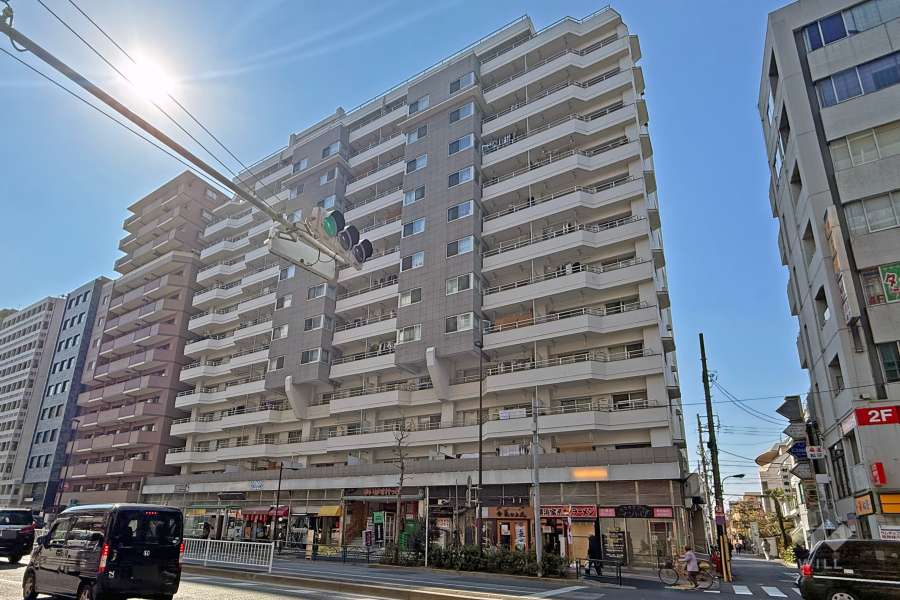 新宿第2アルプスマンションの外観（北東側から）