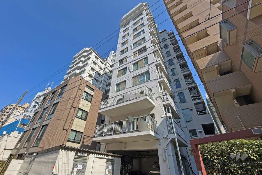 新宿第2アルプスマンションの外観（南西側から）