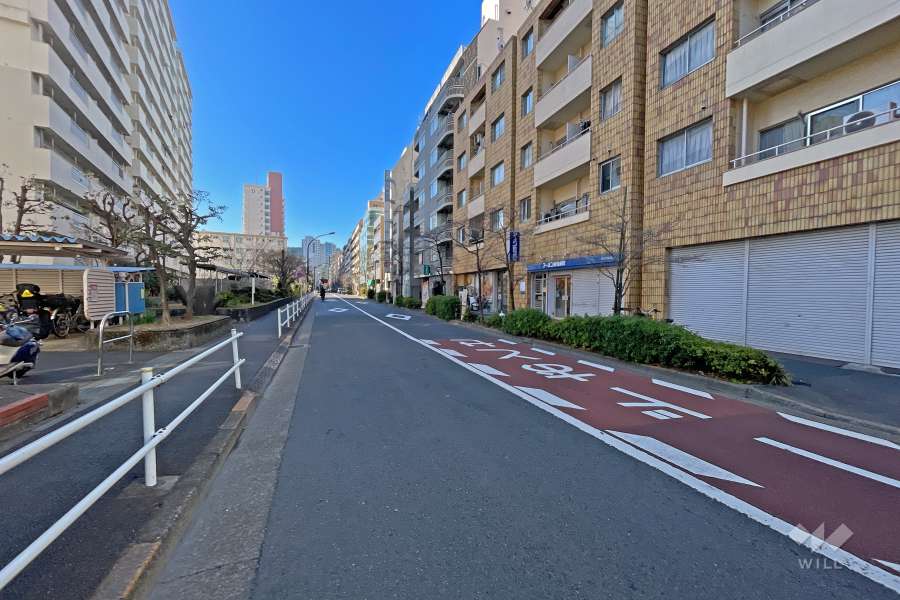 敷地の東側前面道路（北側から）