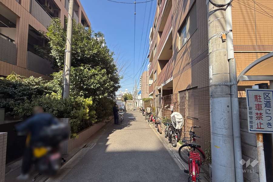 敷地西側の前面道路（南側から）