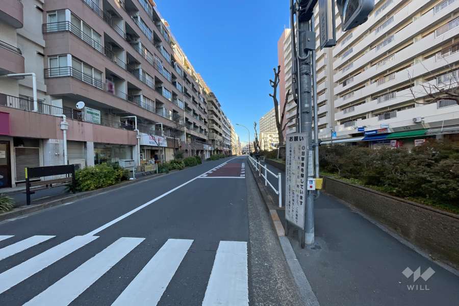 敷地東側の前面道路