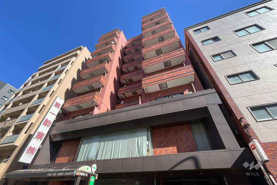 キングダム御苑の外観（西側から）