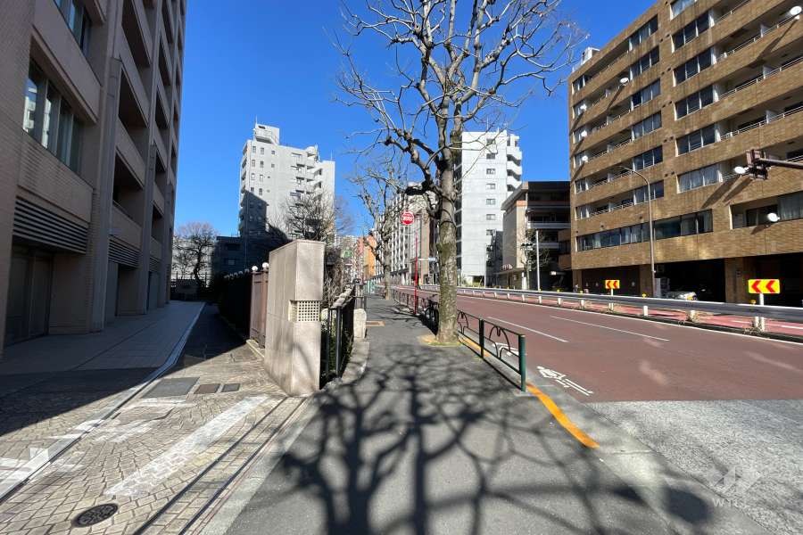 敷地の東側前面道路（南側から）