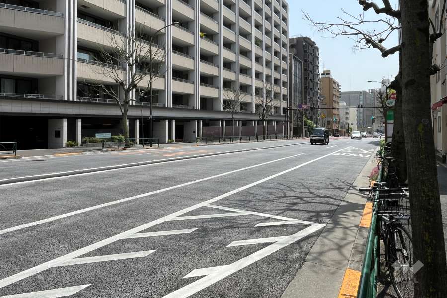 敷地の西側前面道路（北側から）