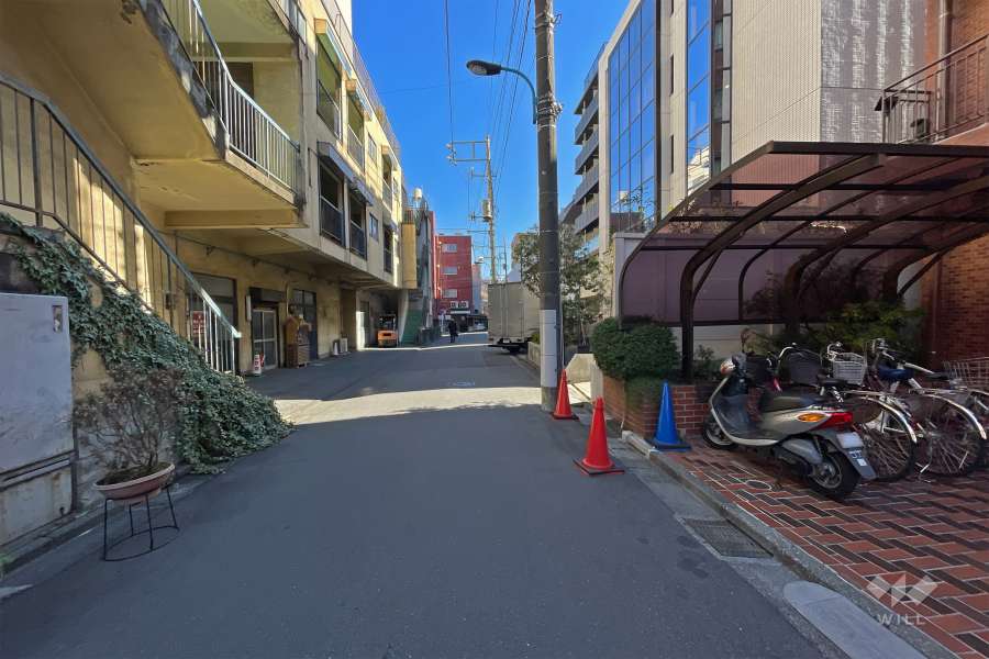 敷地北側の前面道路（西側から）