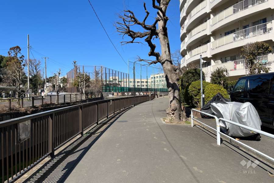 敷地の南西側前面道路（南東側から）