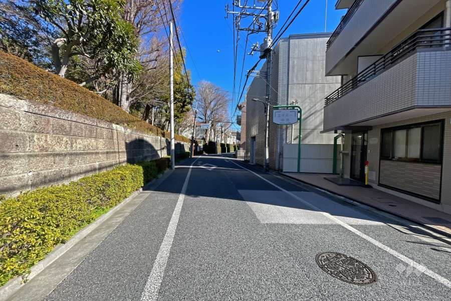 敷地の南側前面道路（西側から）
