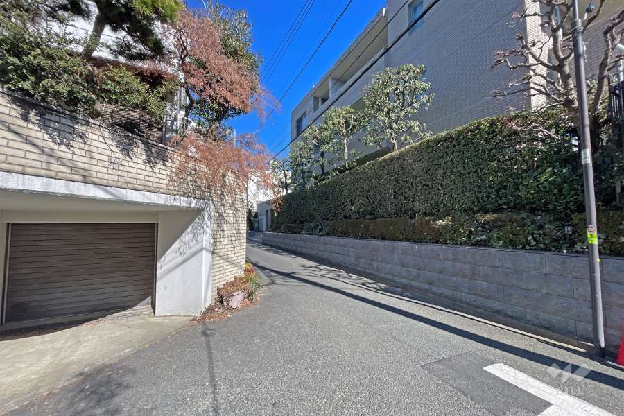 敷地の西側前面道路（南側から）