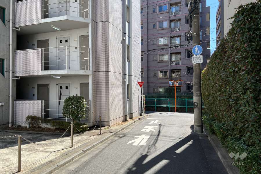 敷地の西側前面道路（北側から）