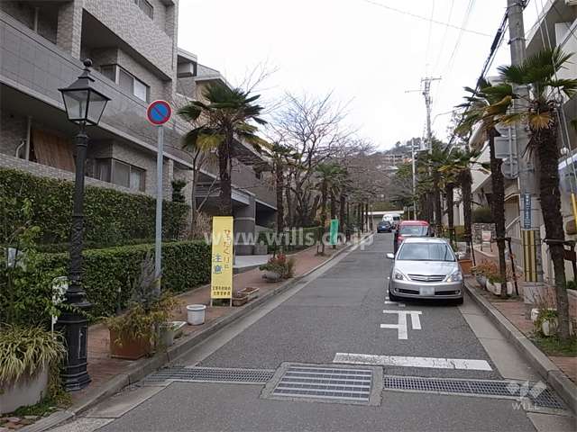 敷地東側の前面道路は並木がきれいです。