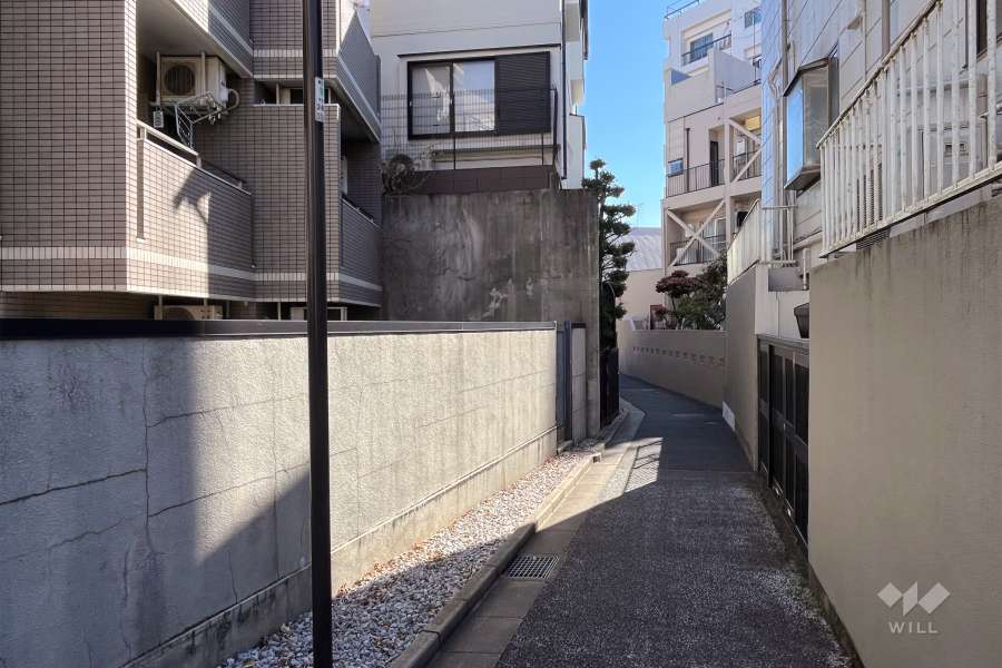 敷地西側の前面道路（北側から）