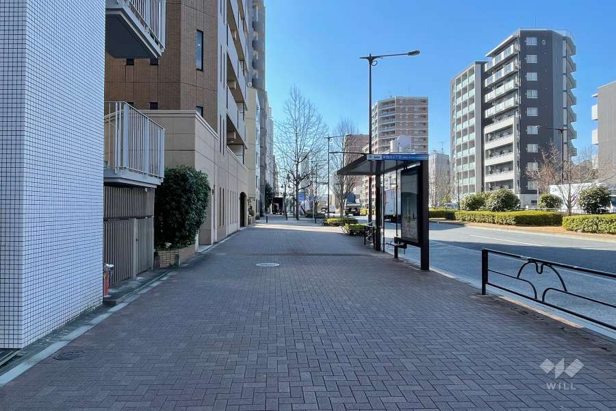 敷地北西側の前面道路　