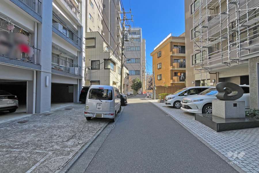 敷地の南側前面道路（西側から）