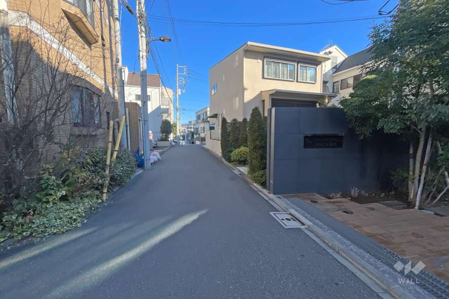 敷地の西側前面道路（南側から）
