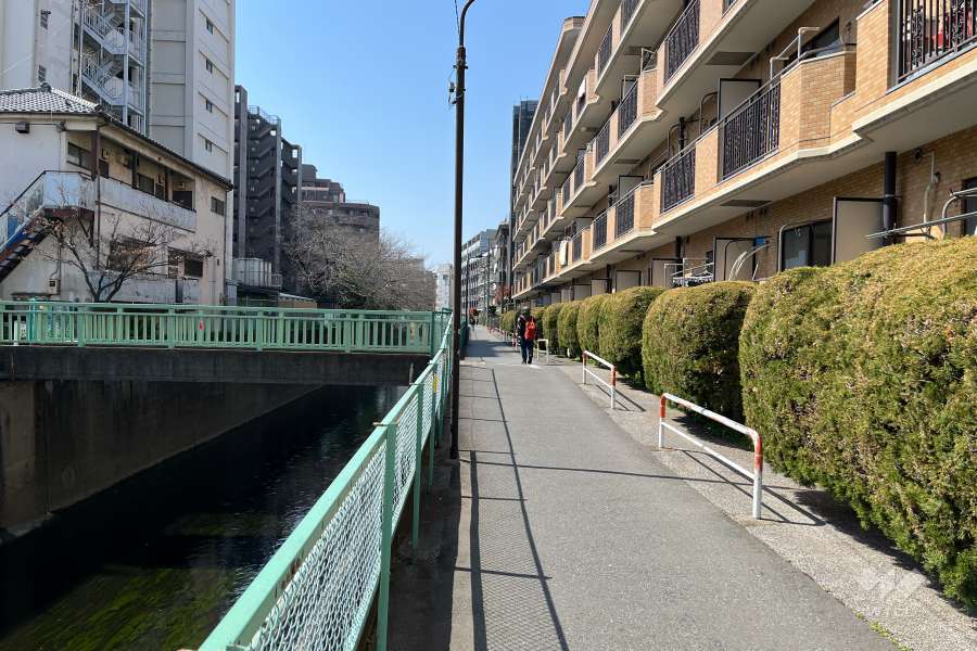 敷地の南側前面道路（東側から）