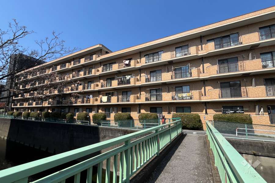 ライオンズマンション下落合の外観（南東側から）