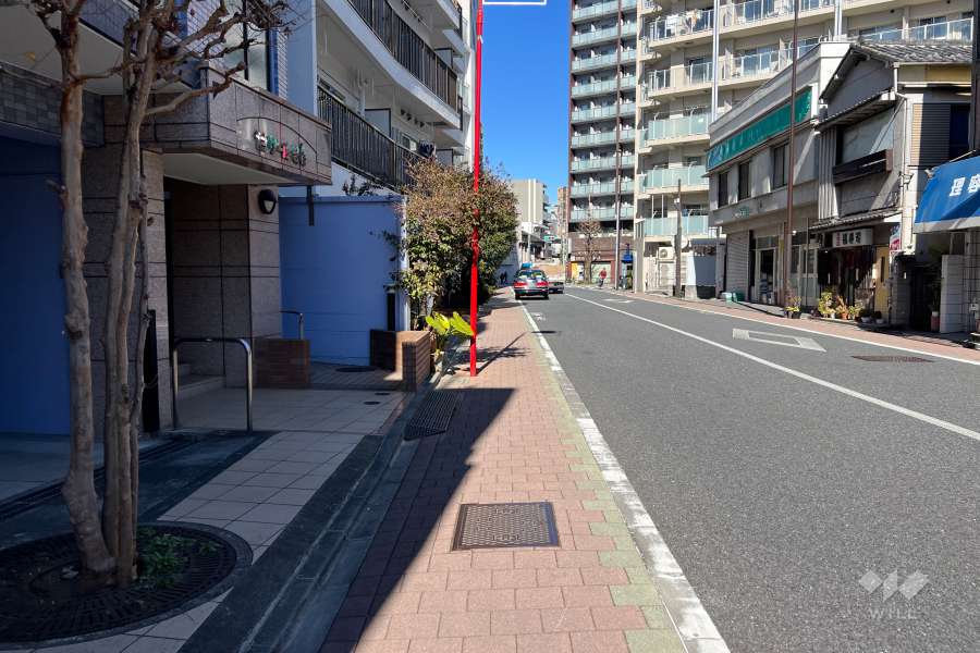 敷地の東側前面道路（南側から）