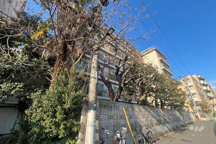 目白スターハイツの外観（南西側から）