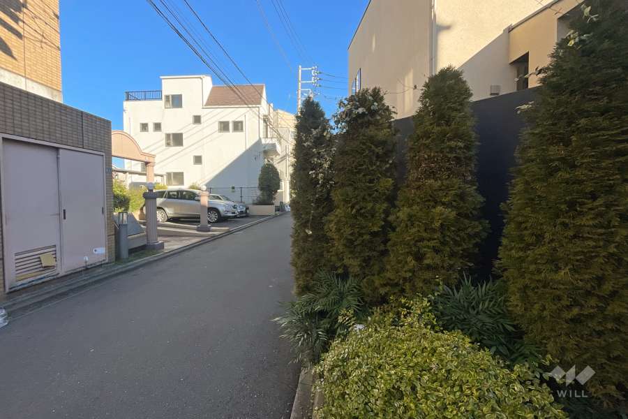 敷地の西側前面道路（南側から）