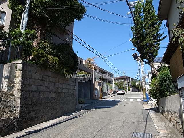 敷地東側の前面道路
