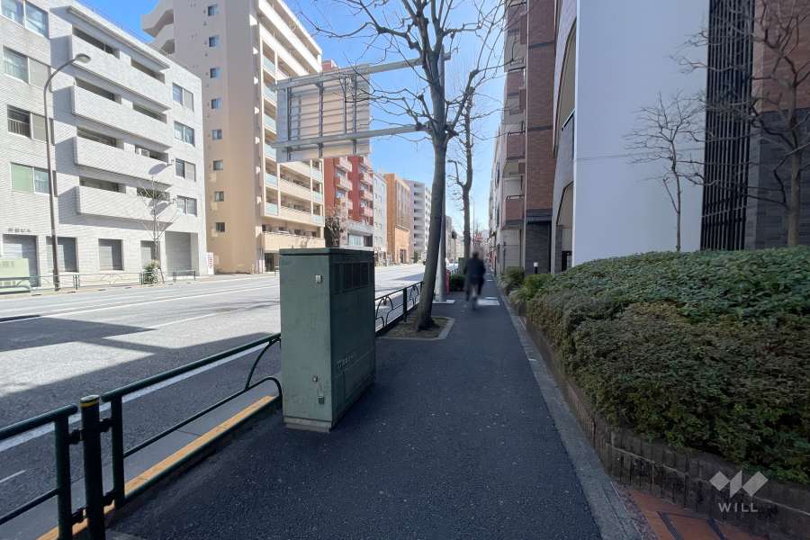 敷地東側の前面道路