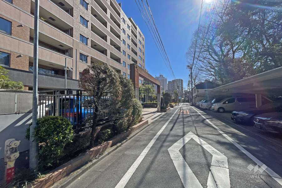 敷地の西側前面道路（北側から）