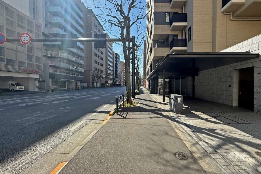 敷地東側の前面道路（北側から）