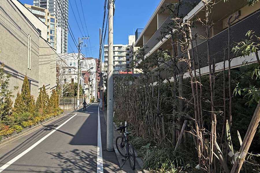 敷地西側の前面道路（南側から）