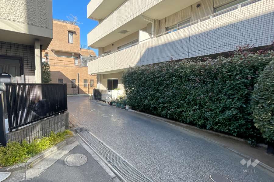 敷地南側の前面道路