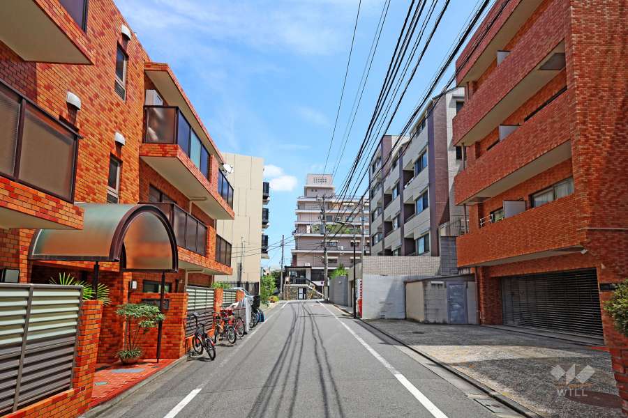 敷地北側の前面道路（西側から）