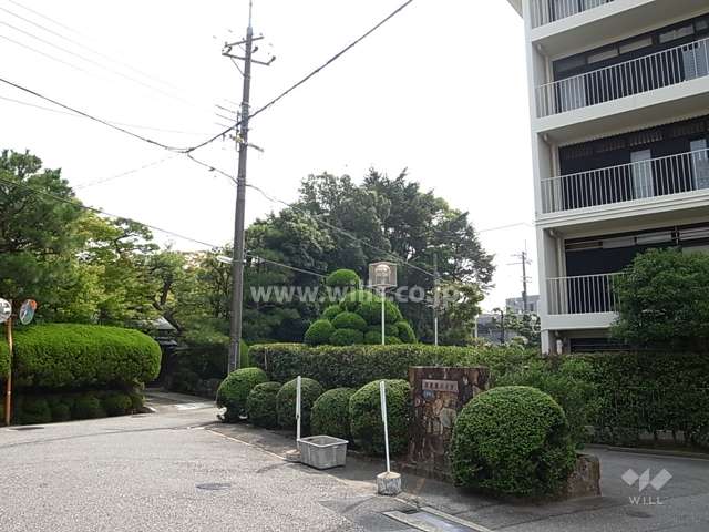 周辺には生垣のあるお屋敷も多く立ち並んでいます。