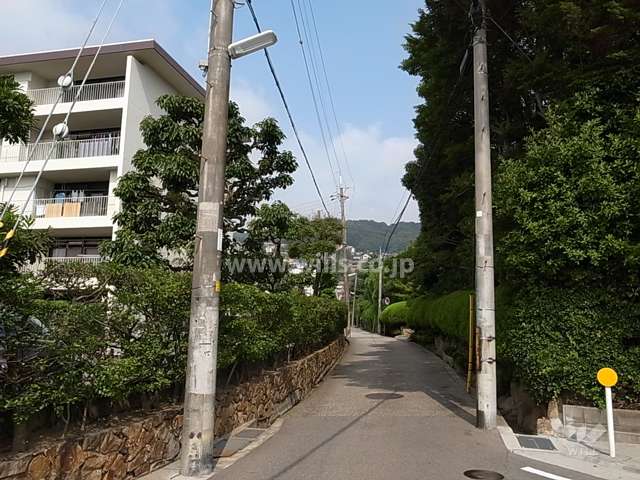 敷地東側の前面道路。生垣の緑がきれいです。