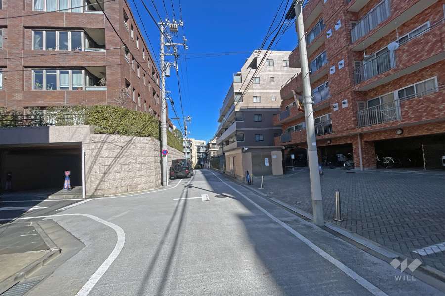 敷地の西側前面道路（南側から）