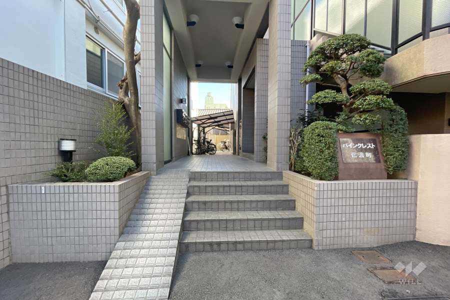 エントランスアプローチ