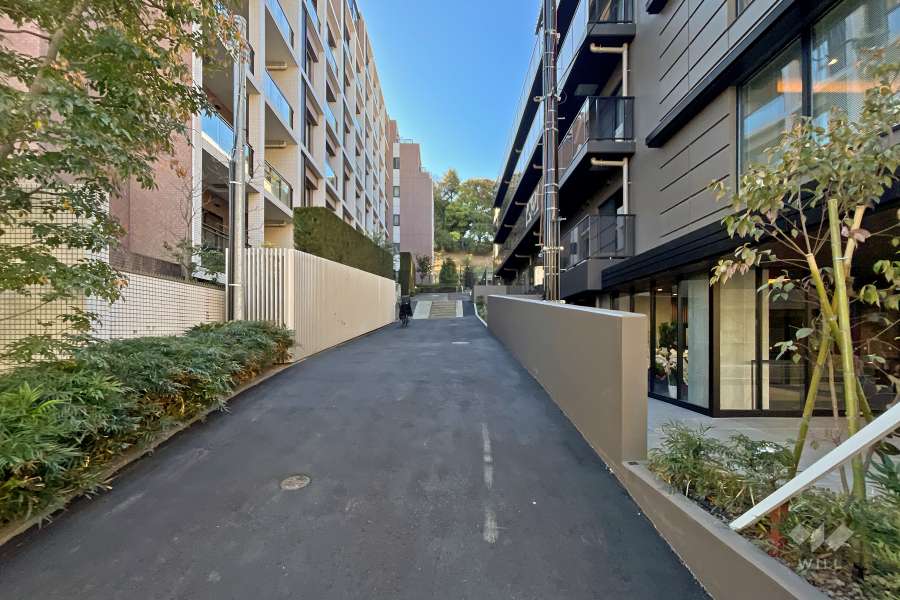 敷地西側の前面道路（北側から）